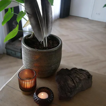 Center 11 * Zundert