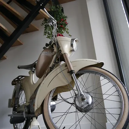 Apartament Center 11